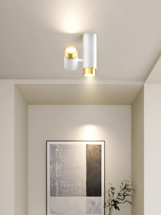 Puma Spotlight Ceiling Light - DWHOME