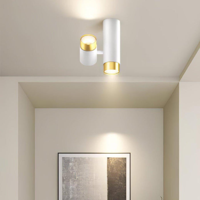 Puma Spotlight Ceiling Light - DWHOME