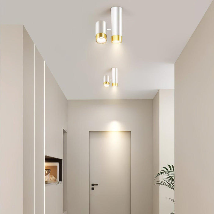 Puma Spotlight Ceiling Light - DWHOME