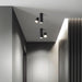 Puma Spotlight Ceiling Light - DWHOME