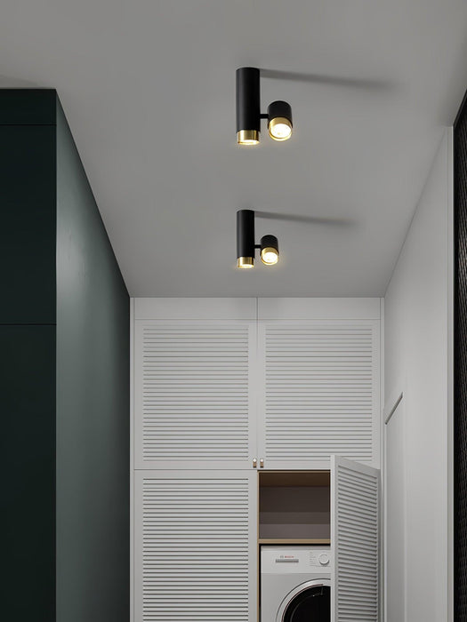 Puma Spotlight Ceiling Light - DWHOME