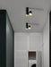 Puma Spotlight Ceiling Light - DWHOME