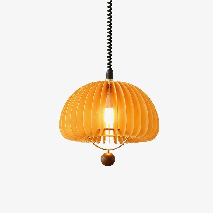 Pumpkin Adjustable Pendant Light-DWHOME