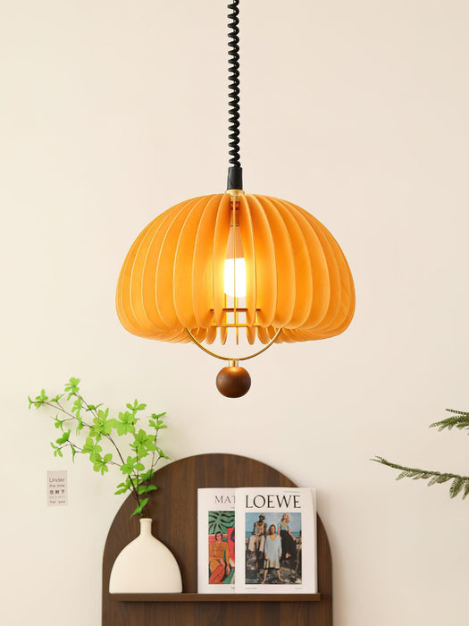 Pumpkin Adjustable Pendant Light-DWHOME