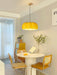 Pumpkin Pendant Light - DWHOME