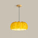 Pumpkin Pendant Light - DWHOME