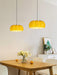 Pumpkin Pendant Light - DWHOME