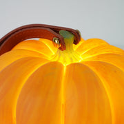 Portable Pumpkin Built-in Battery Table Lamp-DWHOME
