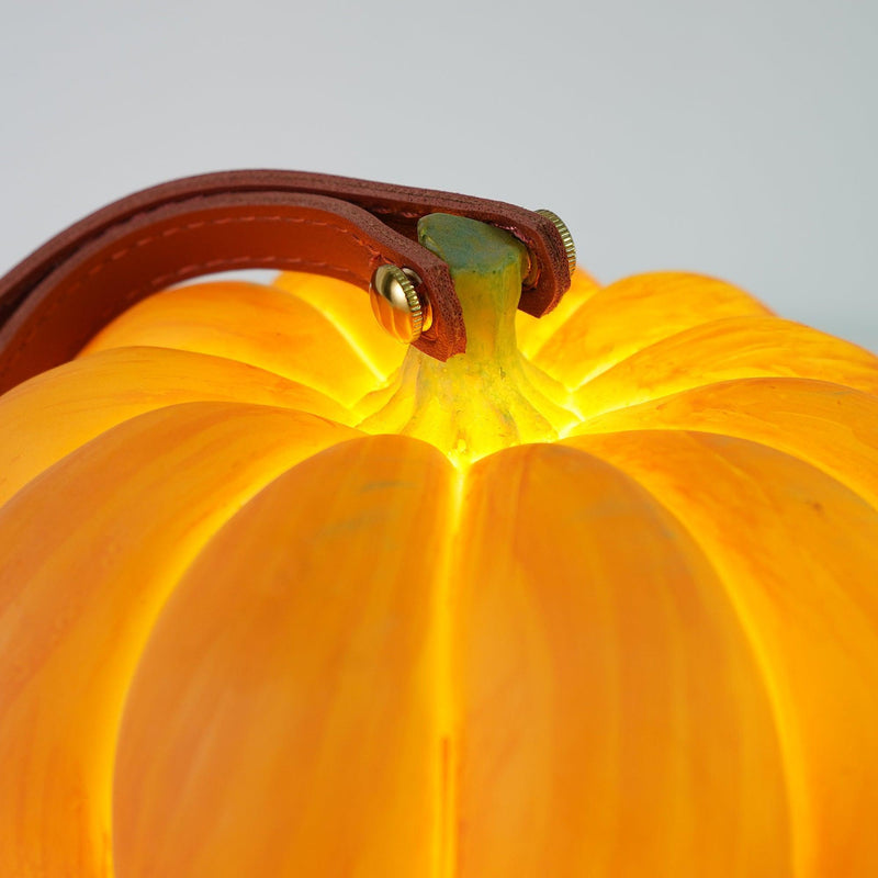 Portable Pumpkin Built-in Battery Table Lamp-DWHOME