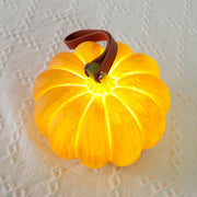 Portable Pumpkin Built-in Battery Table Lamp-DWHOME