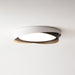 Quinn Ceiling Light - DWHOME