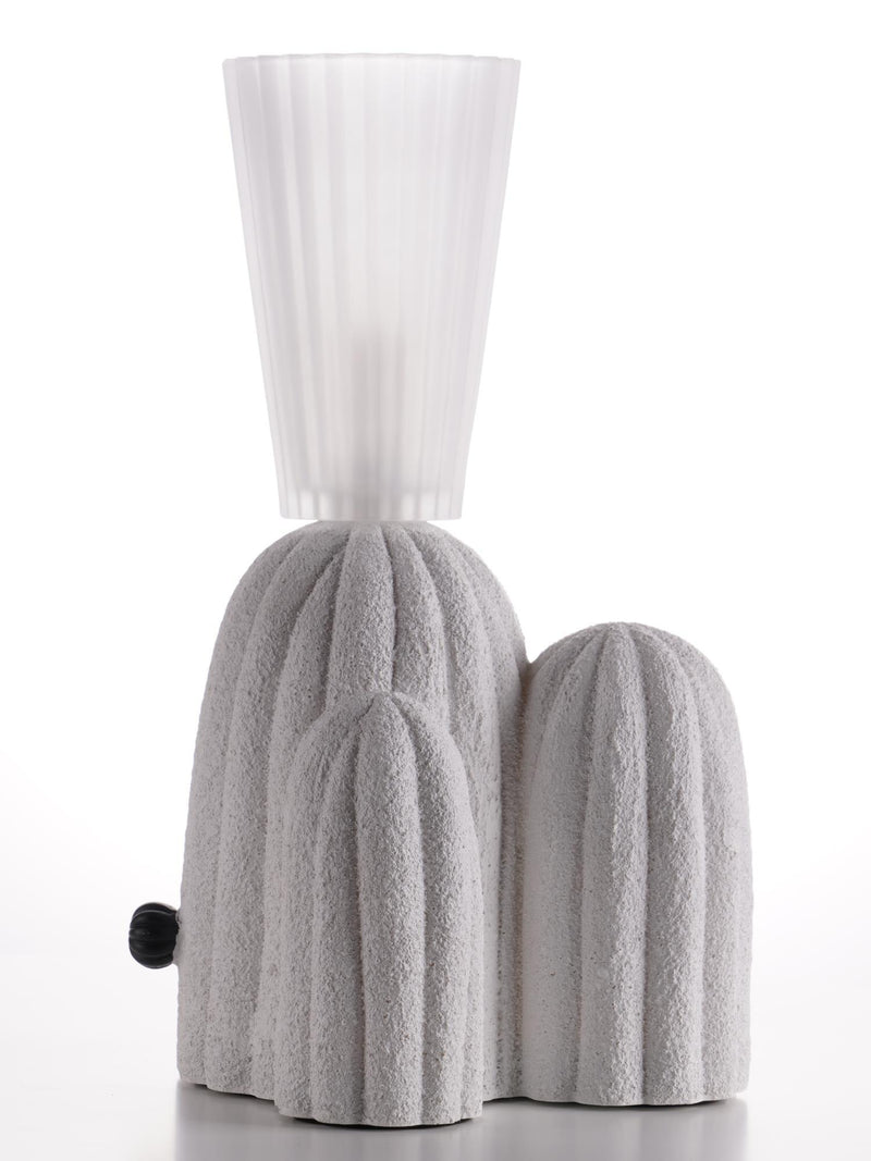 RBS Cactus Lamp-DWHOME