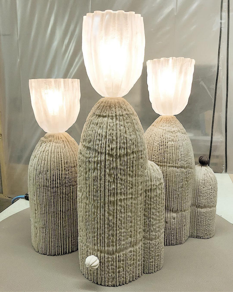 RBS Cactus Lamp-DWHOME