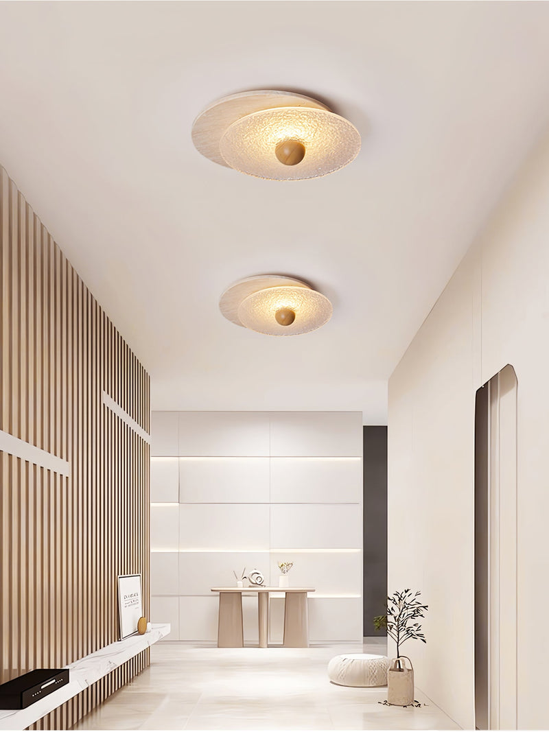 Radiant Disc Ceiling Lamp-DWHOME