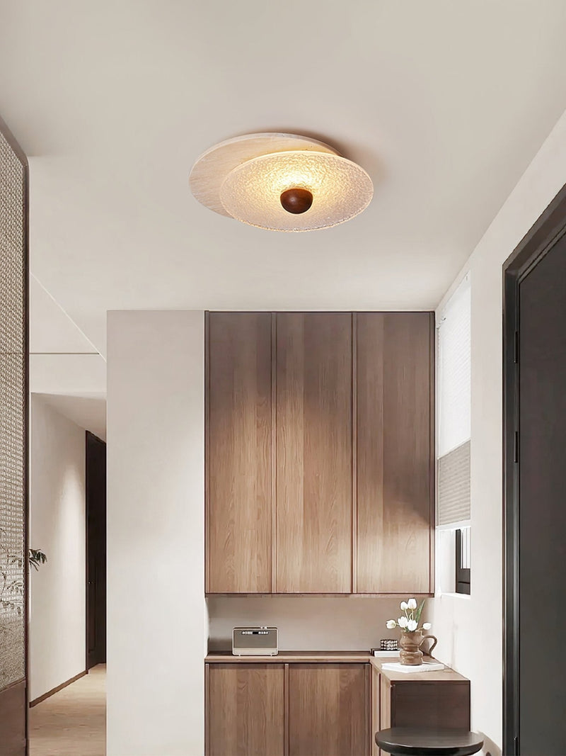 Radiant Disc Ceiling Lamp-DWHOME