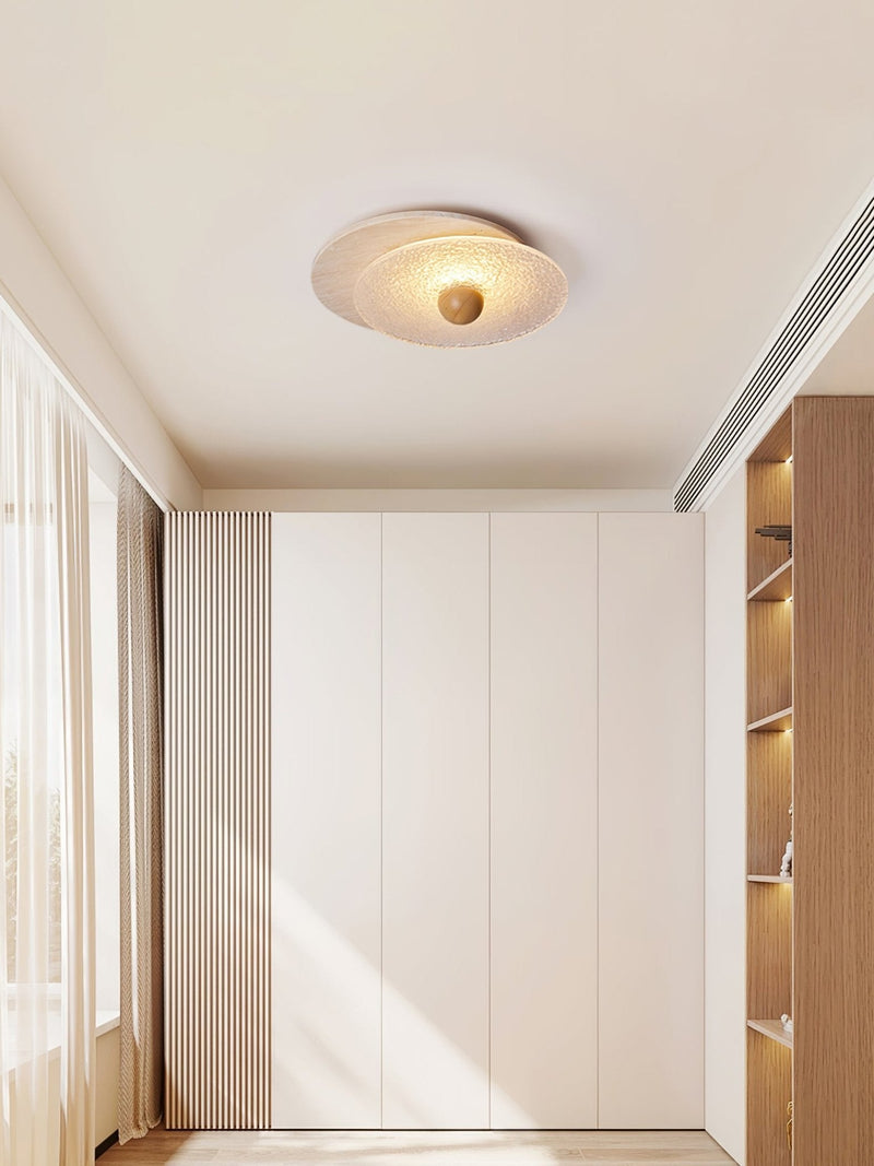 Radiant Disc Ceiling Lamp-DWHOME