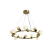 Raechelle Chandelier-DWHOME