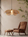 Rattan Petal Pendant Lamp.