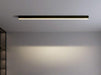 Reetahnna Slim Rectangular Linear Ceiling Lamp.