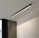 Reetahnna Slim Rectangular Linear Ceiling Lamp.