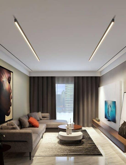 Reetahnna Slim Rectangular Linear Ceiling Lamp.