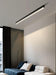 Reetahnna Slim Rectangular Linear Ceiling Lamp.