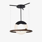 Reincarnation Pendant Lamp-DWHOME