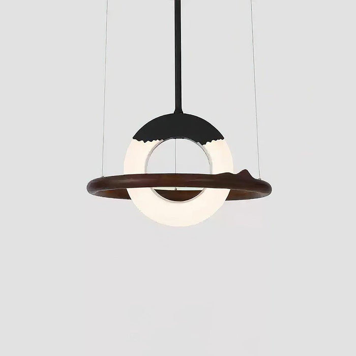 Reincarnation Pendant Lamp-DWHOME