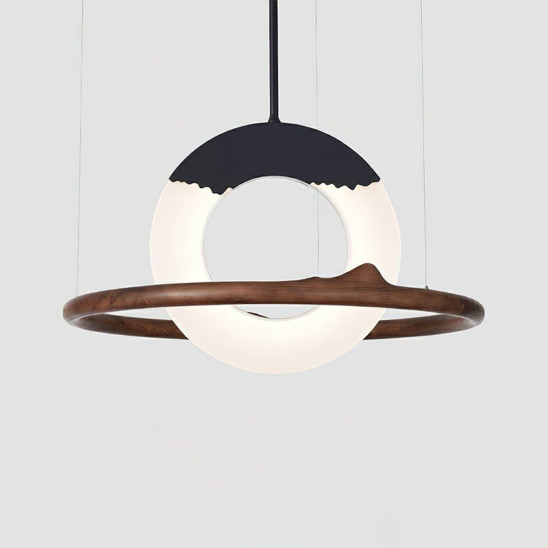 Reincarnation Pendant Lamp-DWHOME