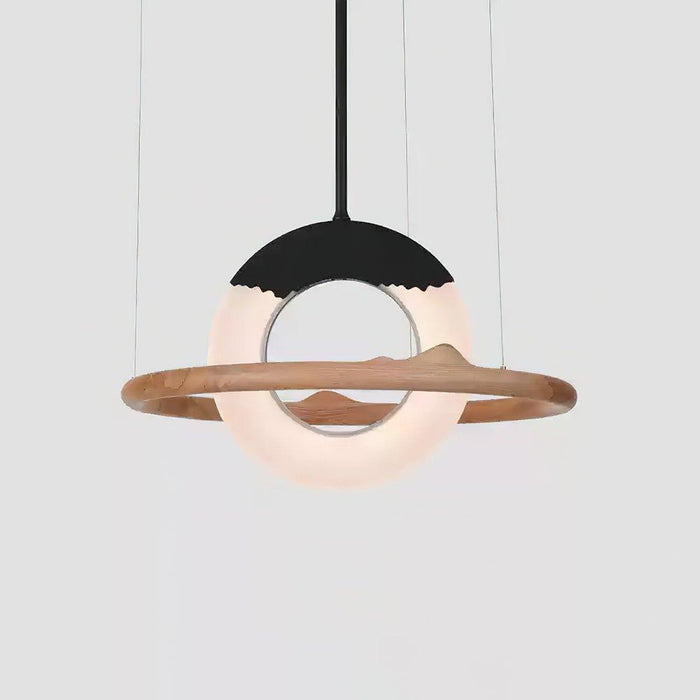 Reincarnation Pendant Lamp-DWHOME