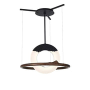 Reincarnation Pendant Lamp-DWHOME