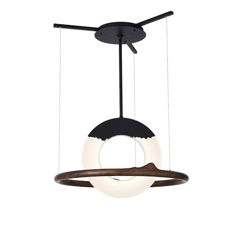 Reincarnation Pendant Lamp-DWHOME