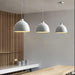 Resin Bowl Pendant Lamp-DWHOME