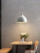 Resin Bowl Pendant Lamp-DWHOME