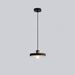 Resin Geometric Pendant Lamp-DWHOME