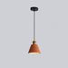 Resin Geometric Pendant Lamp-DWHOME