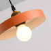 Resin Geometric Pendant Lamp-DWHOME