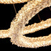 Ring Crystal Chandeliers-DWHOME
