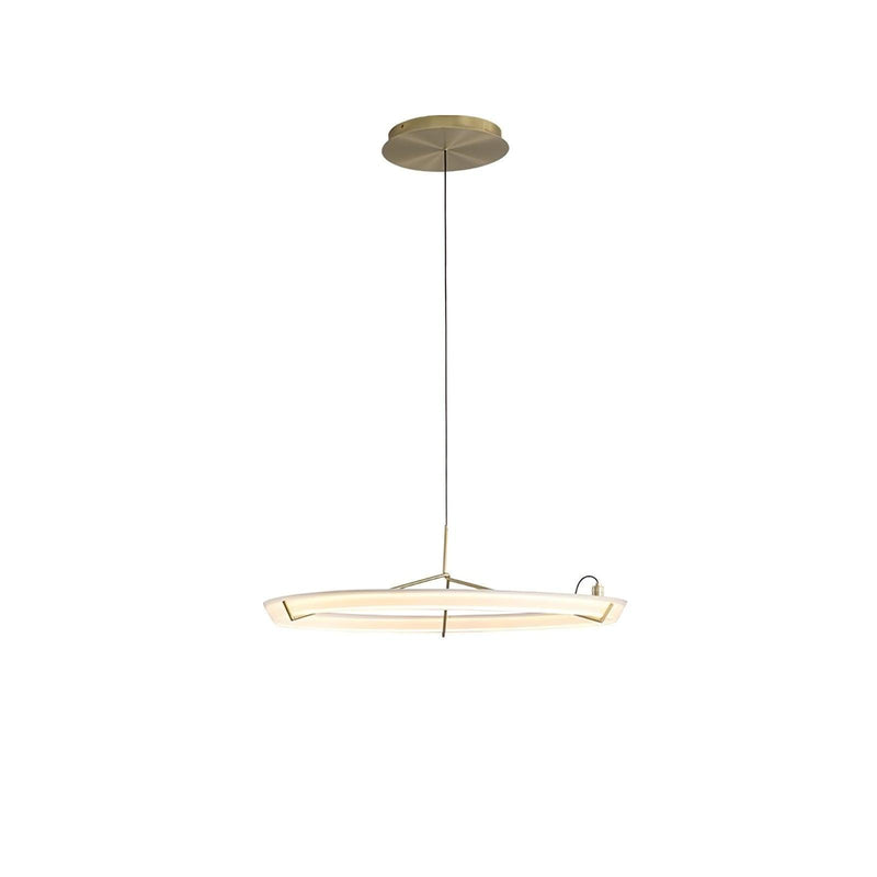 Ring Nodes Pendant Lamp-DWHOME