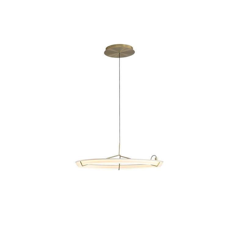 Ring Nodes Pendant Lamp-DWHOME