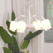Rococo Chandelier-DWHOME