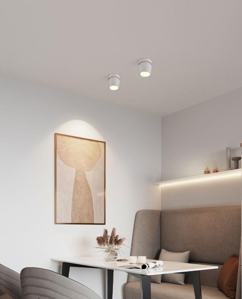 Rotatable Spotlight-DWHOME