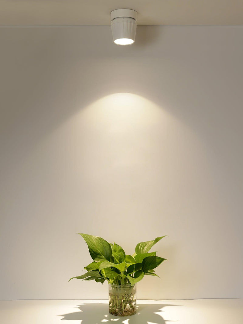 Rotatable Spotlight-DWHOME