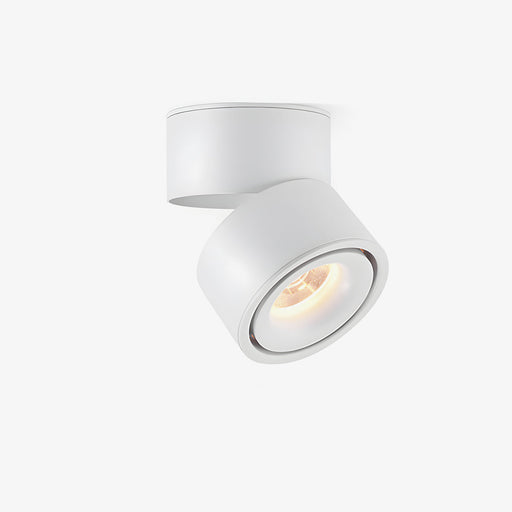 Rotatable Spotlight Ceiling Light.