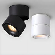 Rotatable Spotlight Ceiling Light-DWHOME