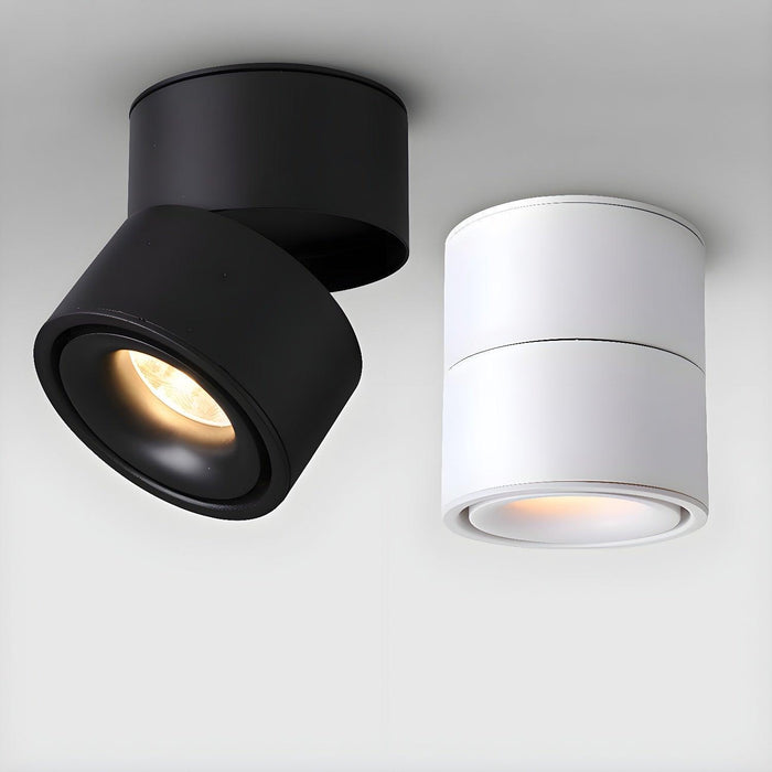 Rotatable Spotlight Ceiling Light - DWHOME