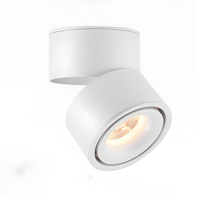 Rotatable Spotlight Ceiling Light-DWHOME
