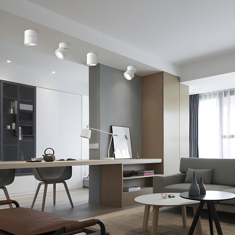 Rotatable Spotlight Ceiling Light-DWHOME