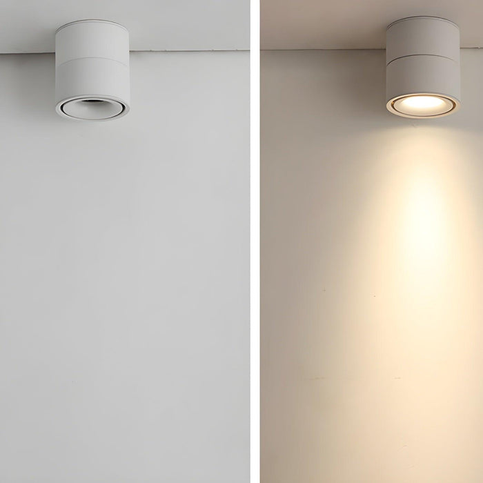 Rotatable Spotlight Ceiling Light - DWHOME