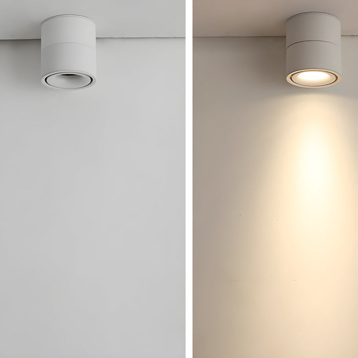 Rotatable Spotlight Ceiling Light.